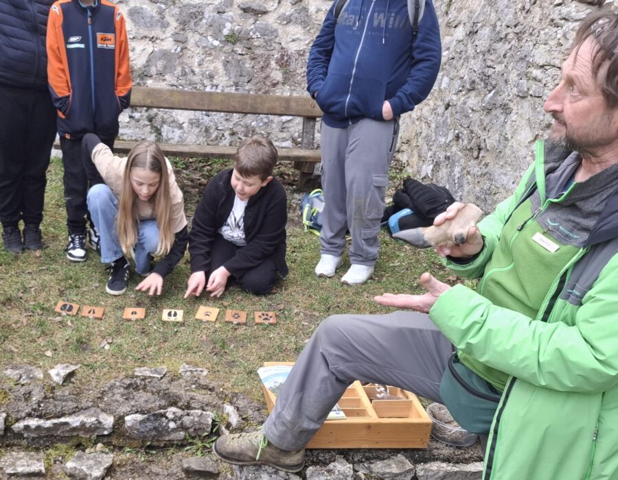 Kopie von 20260318_144612